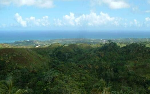 Terrain en Sommet avec Vues Panoramiques sur l’Océan