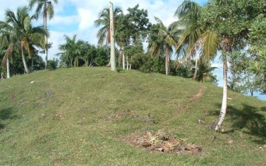 Terrain en Sommet avec Vues Panoramiques sur l’Océan