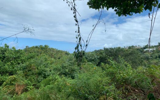 Terrain avec vue sur l’océan près de Coson