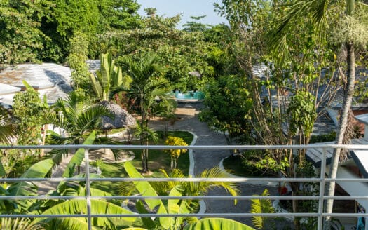 Villa Paradisiaque Tropicale avec Piscine Spectaculaire et Accès à la Plage