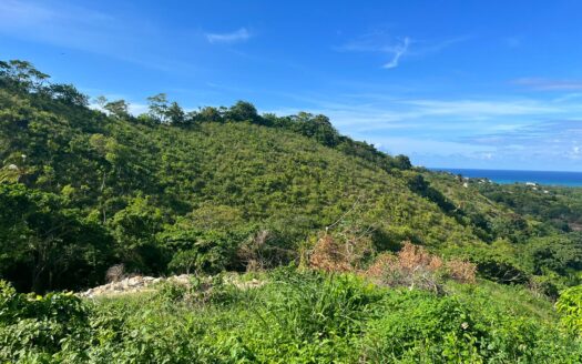 Lots with mountain view by the center