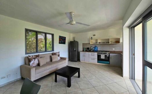 Opportunité de penthouse à quelques pas de la plage Punta Popy
