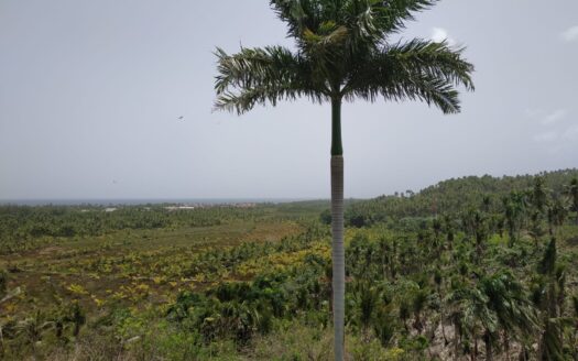 Terrain sur une colline avec vue sur l’Atlantique