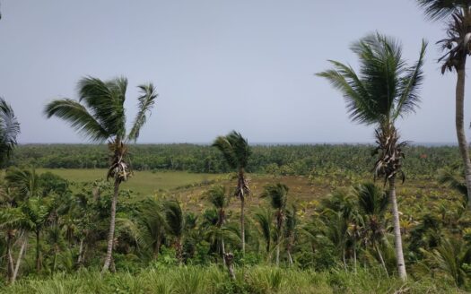 Terrain sur une colline avec vue sur l’Atlantique