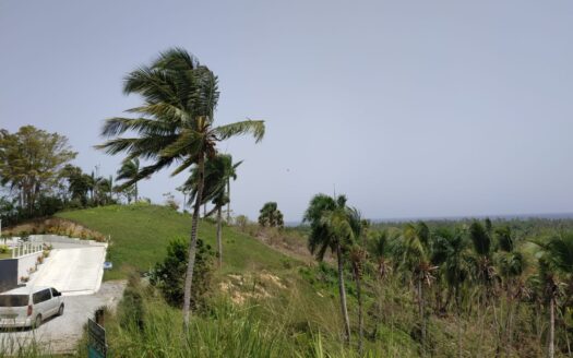 Terrain sur une colline avec vue sur l’Atlantique