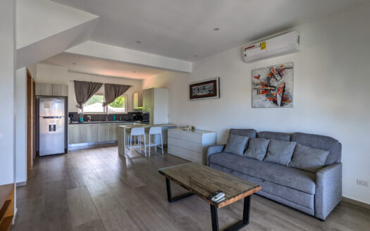 Penthouse moderne avec terrasse privée en ville