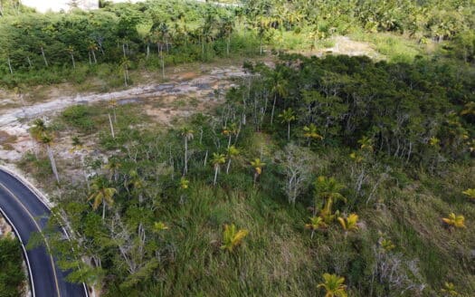Votre terrain de rêve à deux pas de la plage de Coson