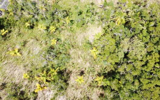 Votre terrain de rêve à deux pas de la plage de Coson