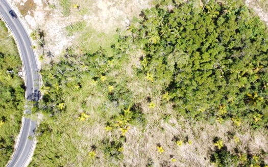 Votre terrain de rêve à deux pas de la plage de Coson