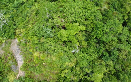 Terrain de développement avec vue sur l’océan à Coson