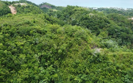 Terrain de développement avec vue sur l’océan à Coson