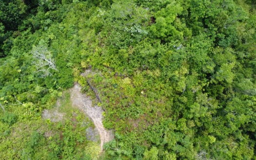 Terrain de développement avec vue sur l’océan à Coson