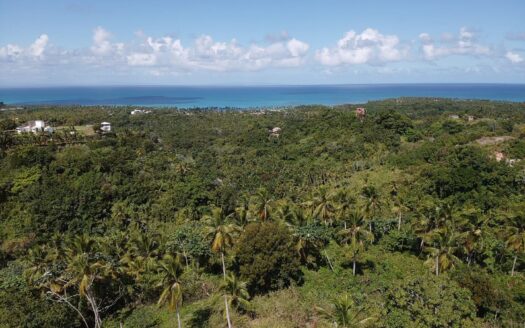Prime development project for Sale in Coson