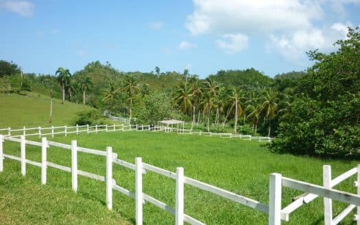 Ranch idéal pour projet écologique