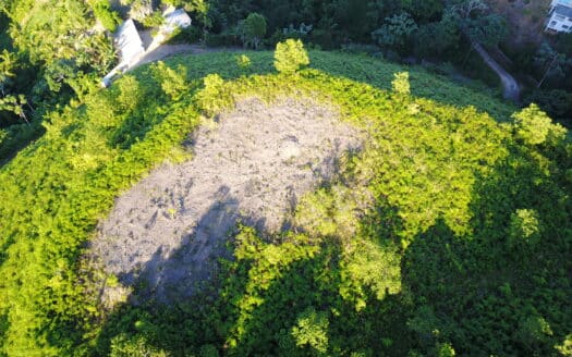 Terrain sur colline à Las Terrenas pour résidences écologiques de luxe