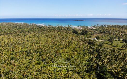 Terrain plat étendu près de la plage