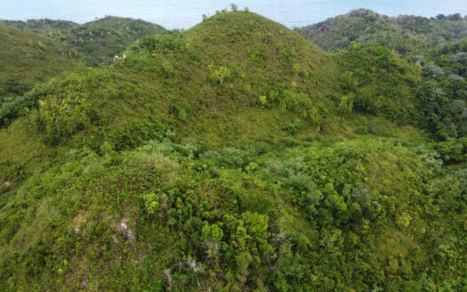 Opportunité de terrain exceptionnelle avec vue sur l’océan Atlantique à Coson