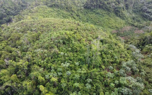 Opportunité de terrain exceptionnelle avec vue sur l’océan Atlantique à Coson