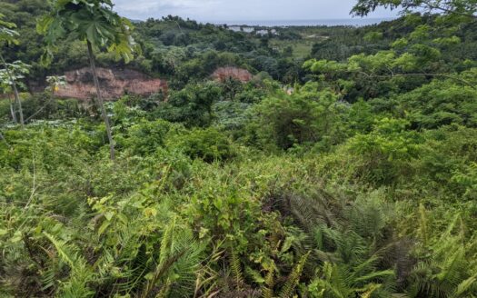 Terrain au boulevard avec vue sur l’océan
