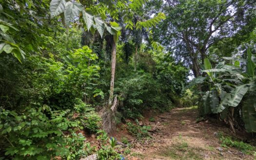Terrain au boulevard avec vue sur l’océan