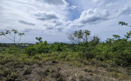 Terrain au boulevard avec vue sur l’océan