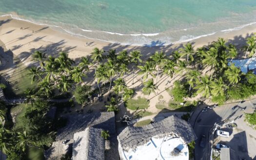 Plaza commerciale en bord de mer au cœur de Las Terrenas