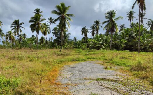 Terrains en bord de mer de qualité dans une zone calme