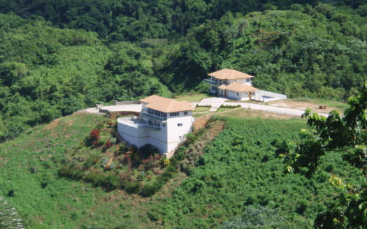 Une belle colline prête pour des terrains à bâtir