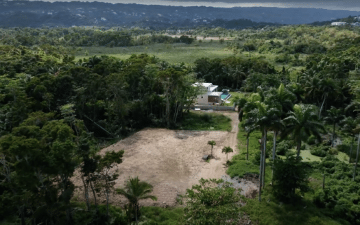 Small building lots steps from Las Ballenas beach