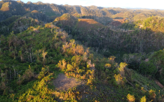 Terrains pour développement immobilier en montagne