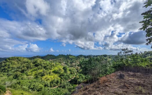 Terrain avec vue sur l’océan à Hoyo Cacao