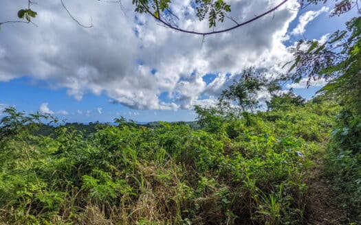 Terrain avec vue sur l’océan à Hoyo Cacao