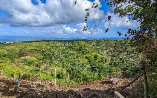 Terrain avec vue sur l’océan à Hoyo Cacao