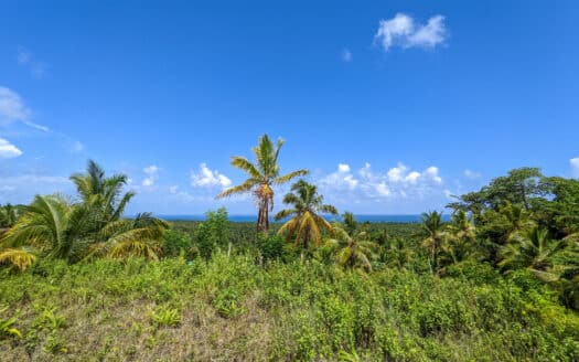 Colline avec vue sur l’océan près de la plage de Coson