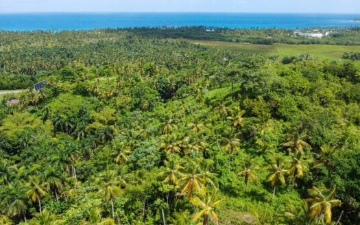 Colline avec vue sur l’océan près de la plage de Coson