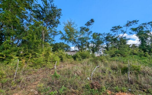 Opportunité foncière pour construire la maison de vos rêves ou un projet d’investissement