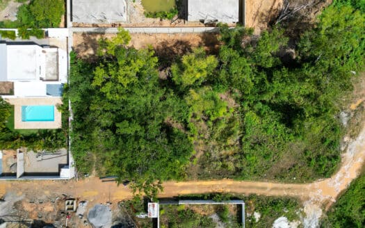 Opportunité foncière pour construire la maison de vos rêves ou un projet d’investissement