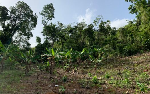 Terrains à construire pratiques à Barbacoa