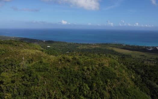 Terrain panoramique pour projet surplombant Playa Cosón