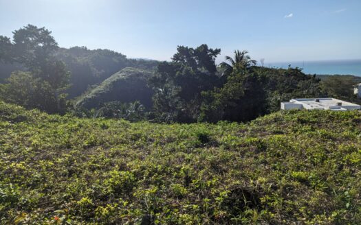 Terrain idéal pour construire une villa de rêve à Las Terrenas