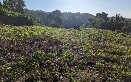 Terrain idéal pour construire une villa de rêve à Las Terrenas