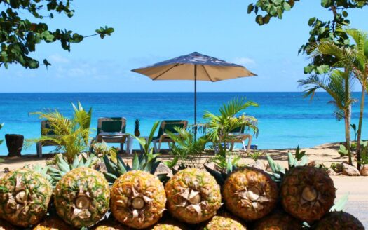Luxurious beachfront penthouse for rent