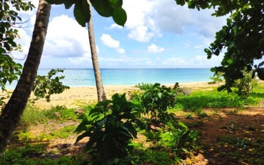 Terrain exceptionnel avec collines au-dessus de la plage Coson