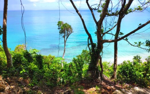Terrain exceptionnel avec collines au-dessus de la plage Coson