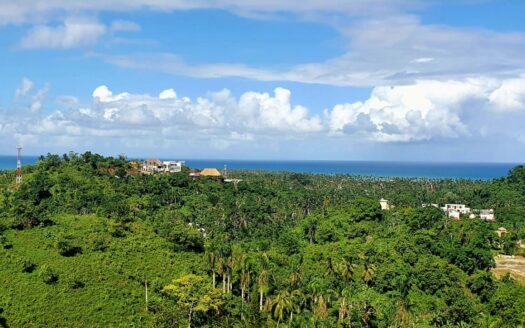 Small  but affordable lots with ocean view in the center of town