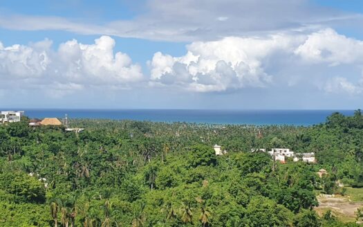 Small  but affordable lots with ocean view in the center of town