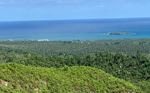 Terrain à développer avec vue sur l’océan à El Limon