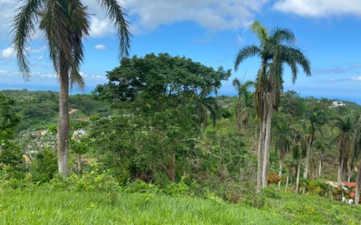 Affordable lot whit panoramic views