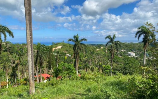 Affordable lot whit panoramic views