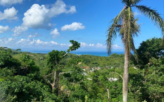 Affordable lot whit panoramic views